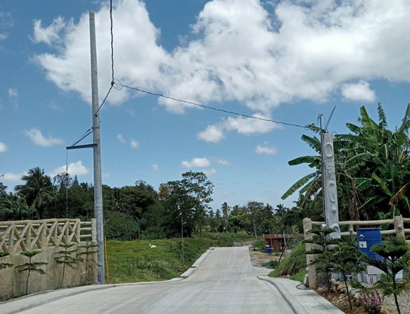 Residential farm lot 800 meters away from Tagaytay Nasugbu road