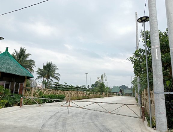Residential farm lot -800 miles away from Tagaytay Nasugbu road