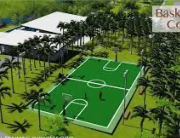 300 sqm Residential Lot For Sale in Venido Binan Laguna
