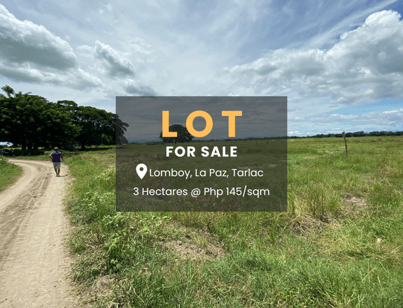 3.09 hectares Farm Lot for Sale in La Paz Tarlac