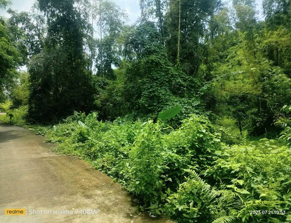 Lot for sale 2.8 hectares ideal for subdivision and etc. Consolacion