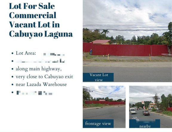 Lot For Sale  Commercial Vacant Lot in Cabuyao Laguna