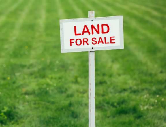 5,438 sqm Ricefarm Land for Sale in Baao, Camarines Sur