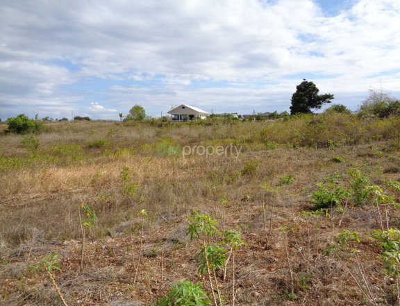 6500 sqm residential farm lots for sale in SANTA FE CEBU already subdivided.