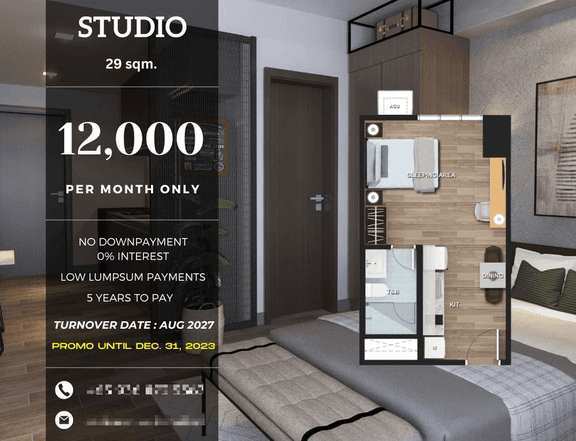 29.00 sqm Studio Condo For Sale in Araneta City - Laurent Park