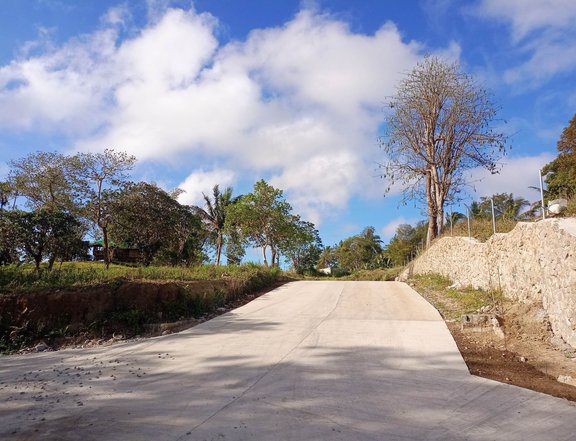 Farm lot for sale-1002 sqm near Tagaytay