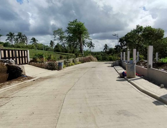 Lot for sale 1000 sqm in Brgy.Luksuhin Alfonso Cavite