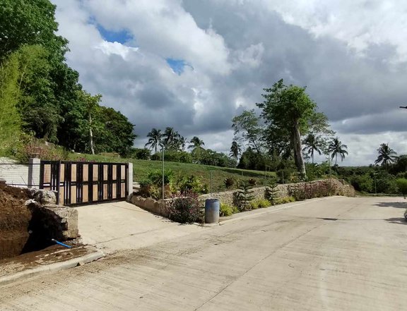 Farm lot near Splendido Tagaytay and Ridge woods Heights