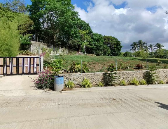 Residential Farm lot - cemented road in Cavite