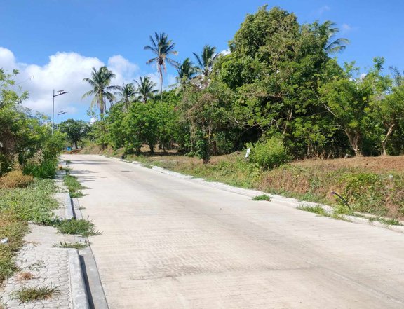 Farm Lot for Sale  in Alfonso Cavite near Richwood Heights