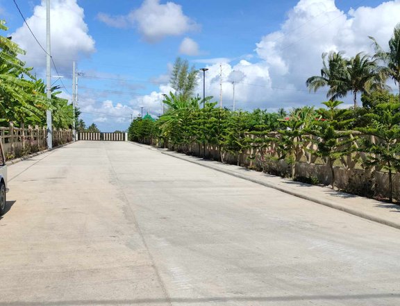 Residential farm lot -800 miles away from Tagaytay Nasugbu road