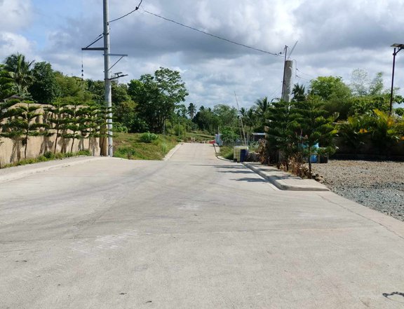 Residential farm lot -800 meters away from Tagaytay Nasugbu road,