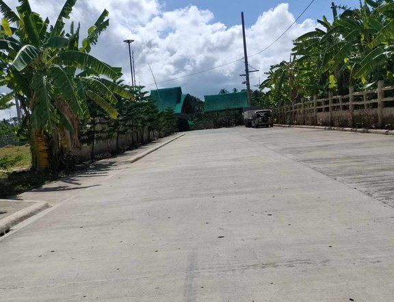 Lot for sale in Amaras Farm Alfonso Cavite