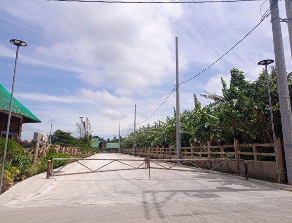 Farm for Sale along Tagaytay Alfonso Cavite