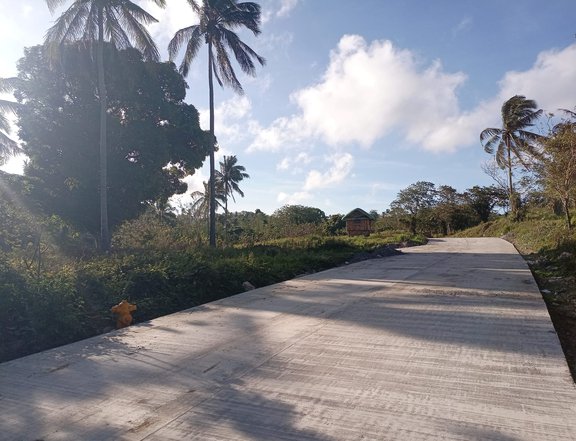 Farm lot for sale in Cavite