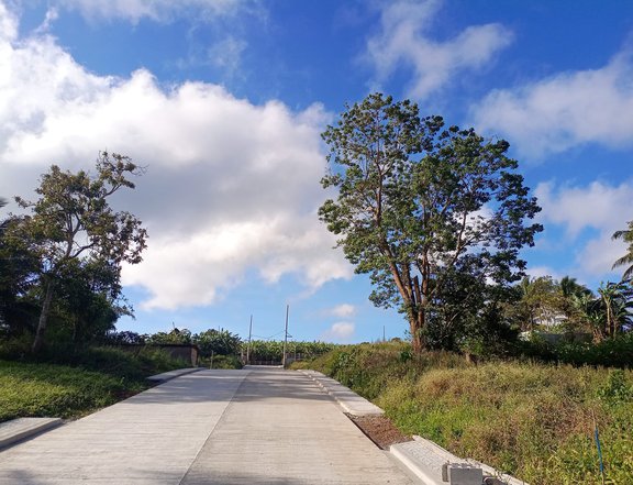 Residential Farm lot near the road Tagaytay nasugbu road