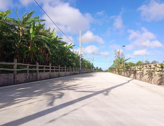 Farm lot for Sale in Cavite with secured community