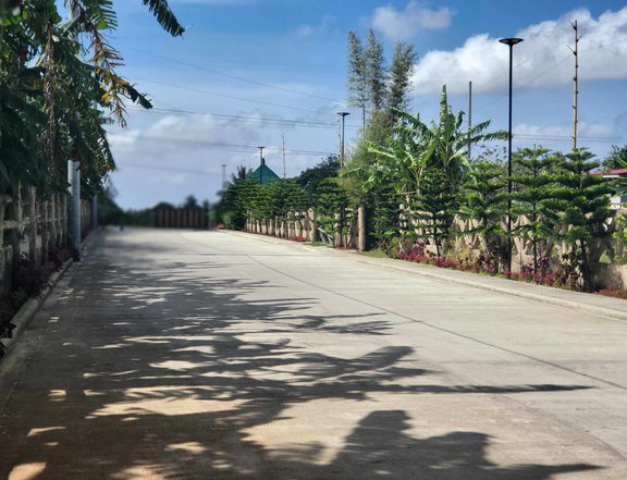 Farm Lot in Tagaytay Alfonso Nasugbu Highway -  Retirement investment
