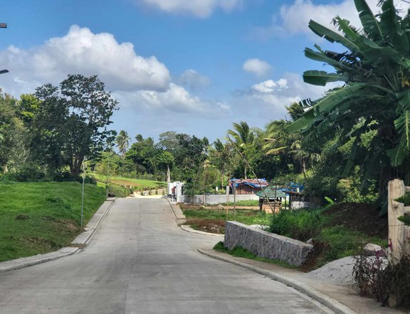 Lot for Sale -Farm for Sale in Cavite