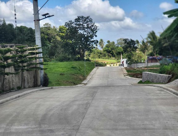1,000 sqm Agricultural Farm For Sale in Alfonso Cavite