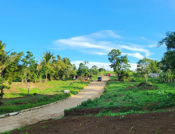 1000 sqm residential Farm Lot in Cavite