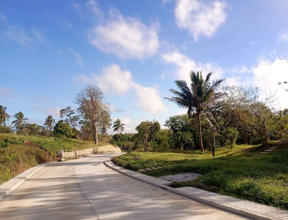 Farm lot near Splendido Tagaytay