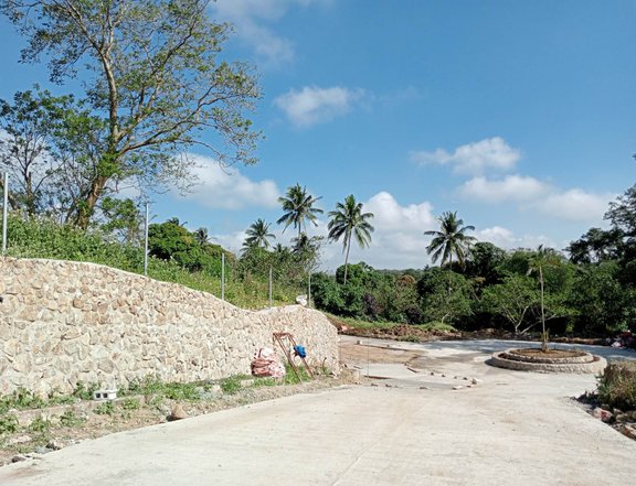 Farm lot with healthy soil near Tagaytay