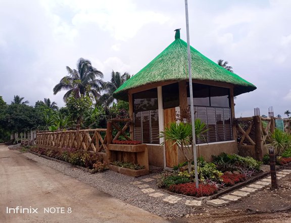 Farm lot in Tagaytay perfect location for investment