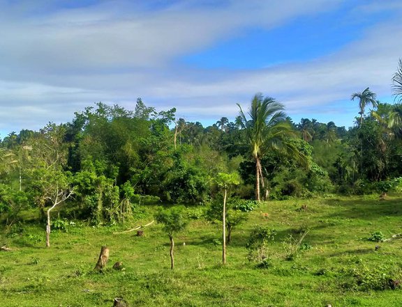 Farm for Sale beside Tagaytay only