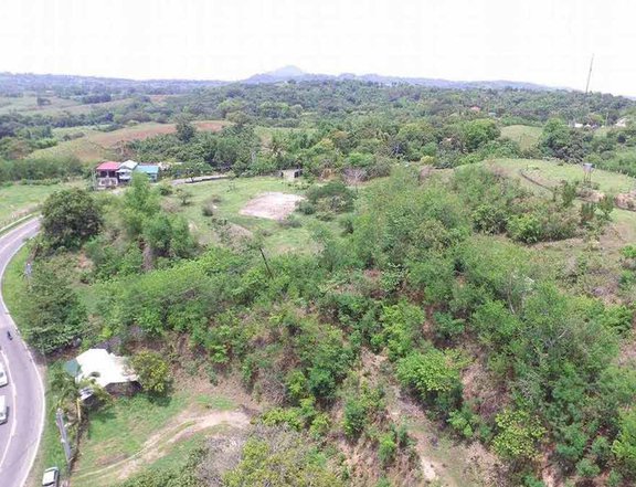 Lian Batangas Lot for Sale (9 hectares)