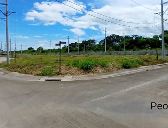 SALE: Vacant 203 sqm Lot 1, Block 34, Peony Street, Avida Northdale Settings Alviera