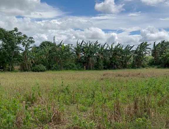 Farm Lot for Sale in Silang Cavite - 14,574 sqm
