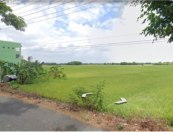 15 HECTARE LOT FOR SALE IN SCIENCE CITY OF MUNOZ ALONG NATIONAL HI-WAY