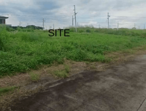 Bank Foreclosed 131 sqm Residential Lot For Sale in Alviera Porac Pampanga: Bank Financing Available