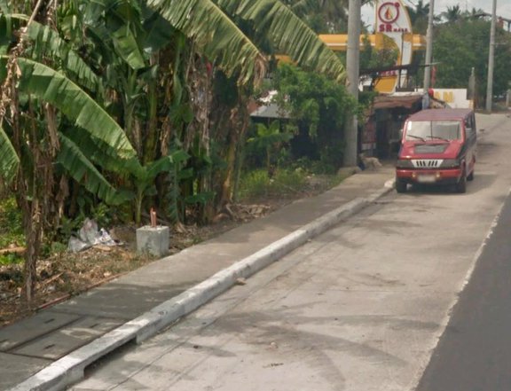 1 hectare Commercial Lot for sale in San Pablo Laguna