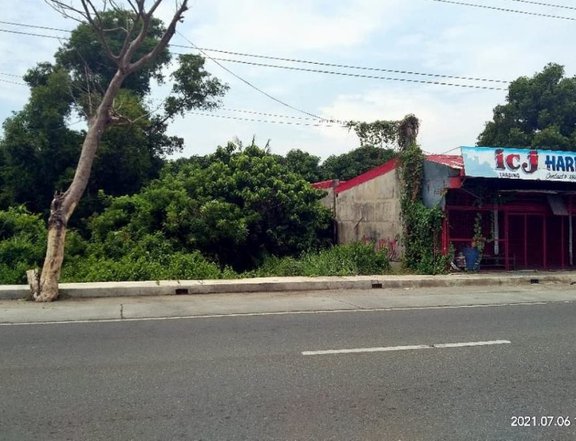 Commercial lot along Dagupan-San Fabian Road in Dagupan City