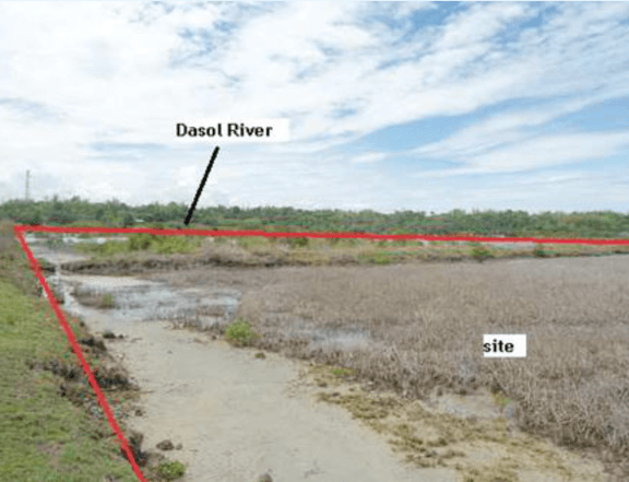 Bank Foreclosed 5.74 hectares Farm Lot For Sale in Dasol Pangasinan: Good Investment for Retirement