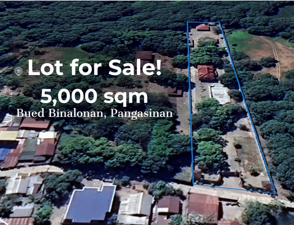 HOUSE AND LOT FOR SALE IN BINALONAN, PANGASINAN