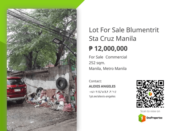 Lot For Sale Blumentrit Sta Cruz Manila