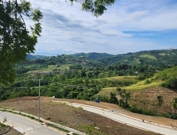 2,070 sqm Premium Residential Lot For Sale in Balamban Cebu