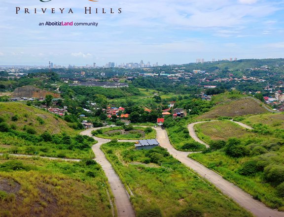 523 sqm Premium Residential Lot For Sale in Cebu City Cebu