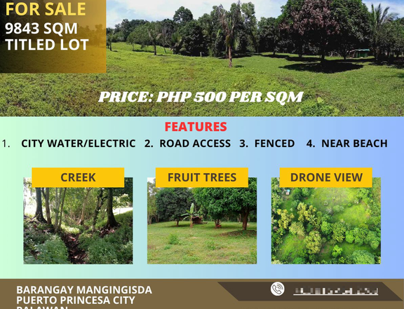Titled Lot For Sale By Owner in Puerto Princesa Palawan-9843sqm