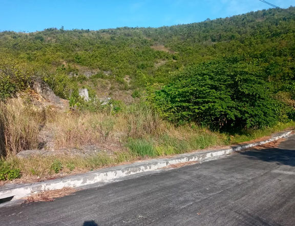 150 SQM Overlooking Residential Lot for Sale in Consolacion Cebu