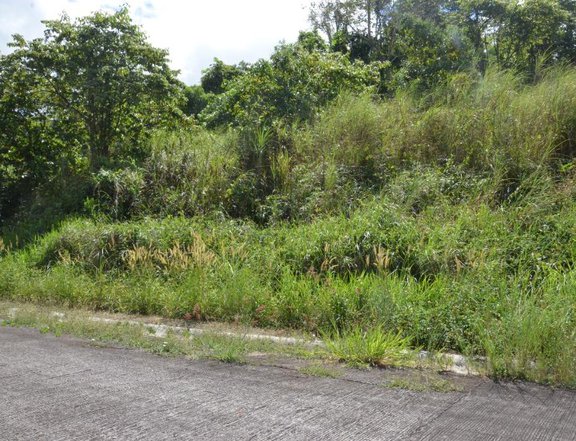 Lot for Sale in Eastland Heights, Antipolo Rizal