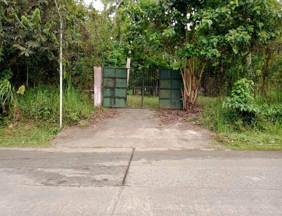 Farm Lot For Sale Clean Title Few Minutes to Tagaytay
