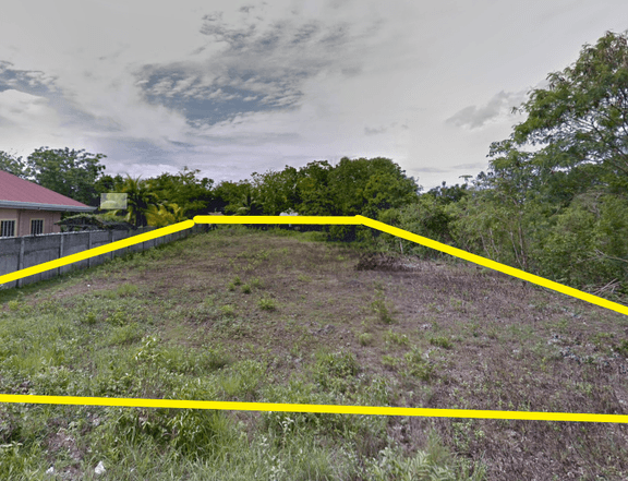 1,200 sqm Residential Lot For Sale in Panglao Bohol