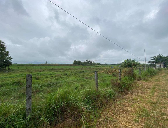 Lot for Sale in Santiago Isabela