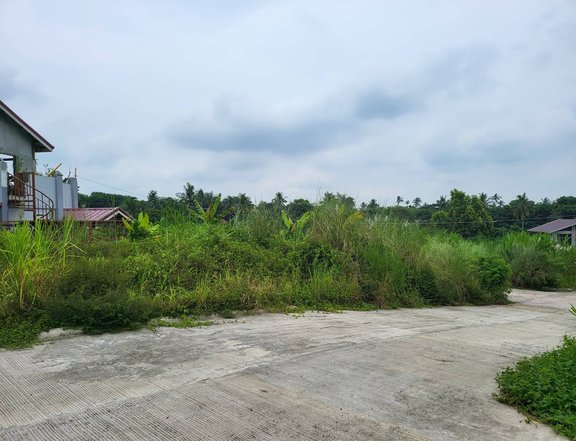 Lot for Sale in Silang Cavite 130 sqm