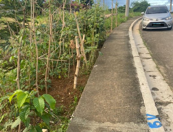 175 sqm Residential Lot For Sale in Monteverde Royale Taytay Rizal