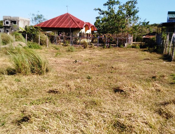 Vacant  elevated lot in Sabangan Alaminos City going Bolo Beach